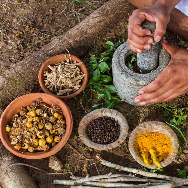 12 ОКТЯБРЯ: БЕСПЛАТНАЯ КОНСУЛЬТАЦИЯ ДОКТОРА АЮРВЕДЫ 