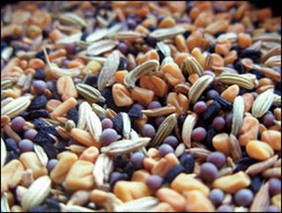 17 апреля. Меню мастер-класса