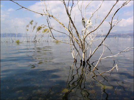 В Галилейском  море запретят ловить рыбу
