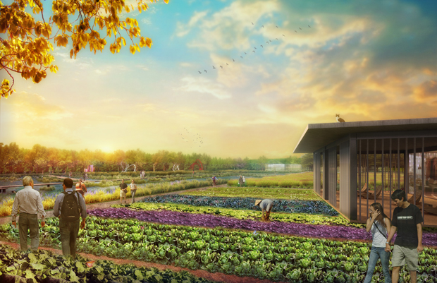 Джаганнат открывает новое направление. 