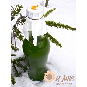 8 апреля, мастер-класс: «Дикоросы и проростки против весеннего авитаминоза!»