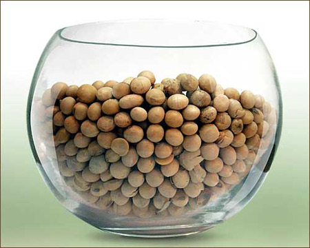 Игнорируйте паникеров анти-соевой кампании!