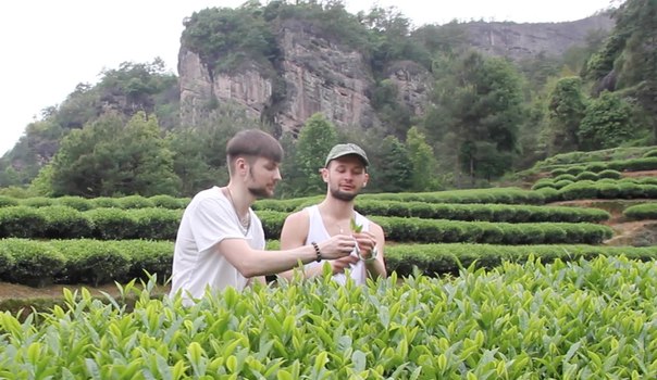 Чайная церемония, посвященная путешествию к сердцу УИ